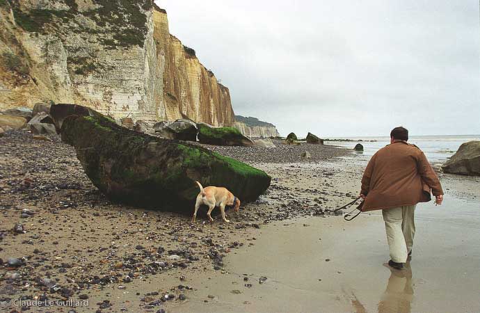 Bertrand Laurent, curé et artiste peintre