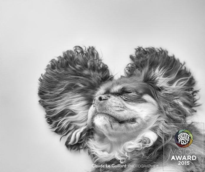 portrait de chien, shutterfest vision award 2015