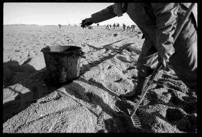 marée noire de l'Erika, Etel, 28/12/1999