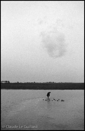 Chasse de nuit aux oiseaux migrateurs, en baie du Mont Saint-Michel, dans un gabion