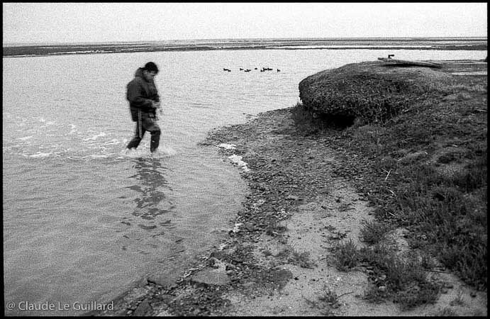 Chasse de nuit aux oiseaux migrateurs, en baie du Mont Saint-Michel, dans un gabion