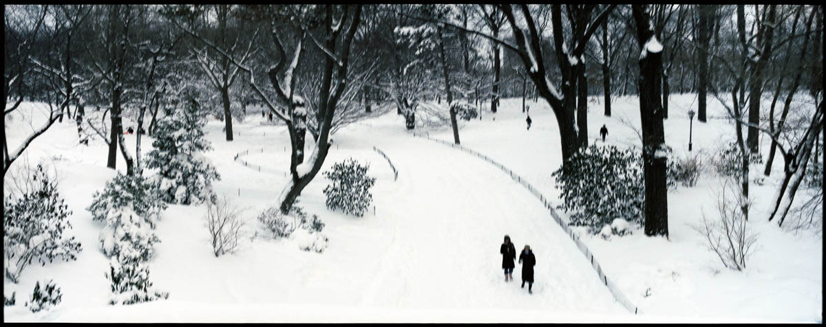 new york, panorama de central_park sous la neige