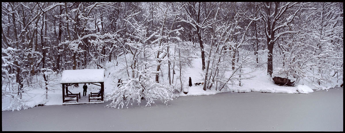 new york, panorama de central_park sous la neige