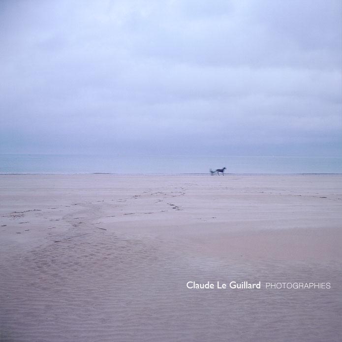 sulky plage Saint Cast france